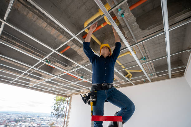 Best Local Plumber Services  in Excelsior Springs, MO