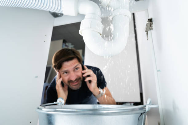 Best Sprinkler Systems  in Excelsior Springs, MO