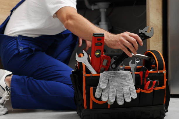 Best Clogged Drain Plumber  in Excelsior Springs, MO